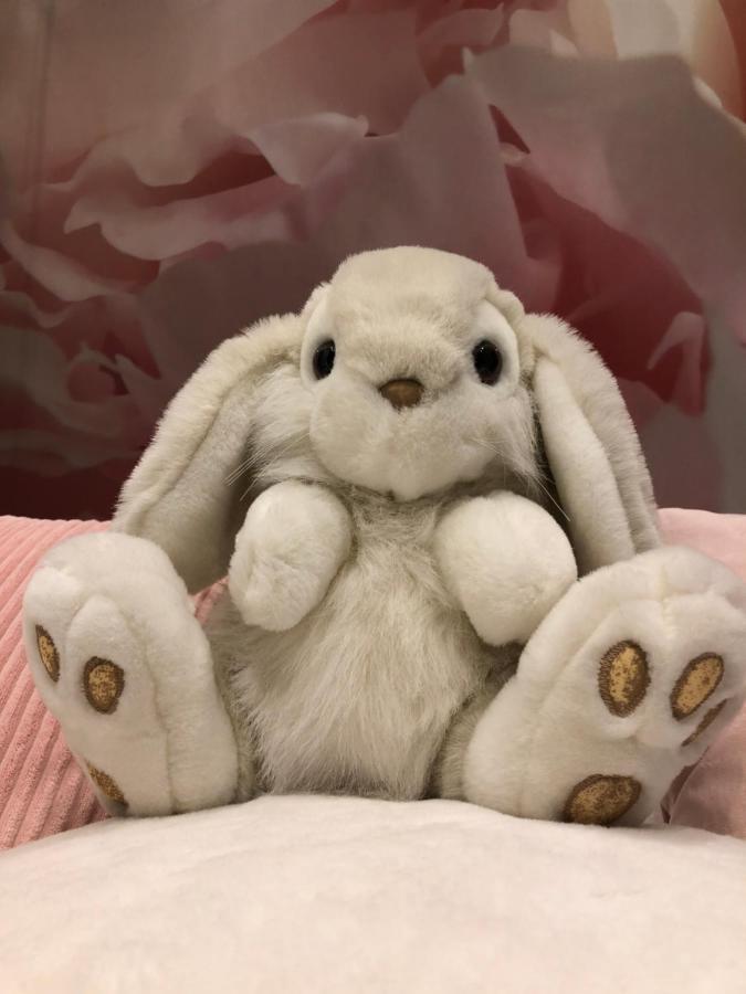 Апартаменты Pan Pan Le Lapin Aubagne-Cassis-Aix En Provence Экстерьер фото